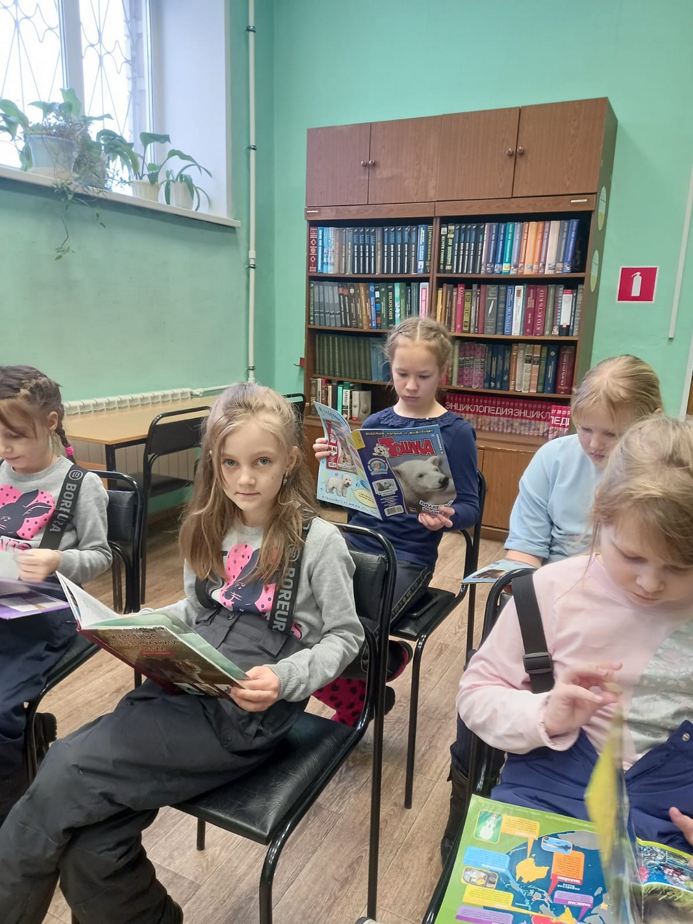 Белые сны Арктики